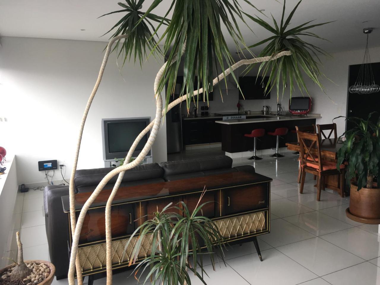 Napoles Condo Suites Mexico-stad Buitenkant foto